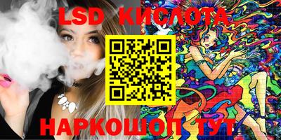 крисы Камышлов