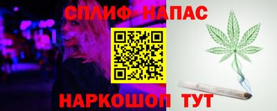 дживик Кандалакша
