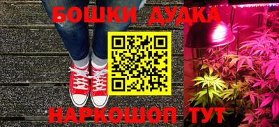 дживик Кандалакша