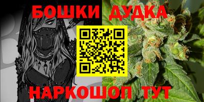 дживик Кандалакша