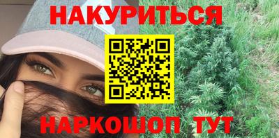 крисы Камышлов