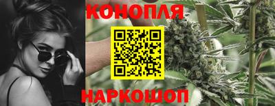 крисы Камышлов