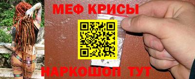 крисы Камышлов