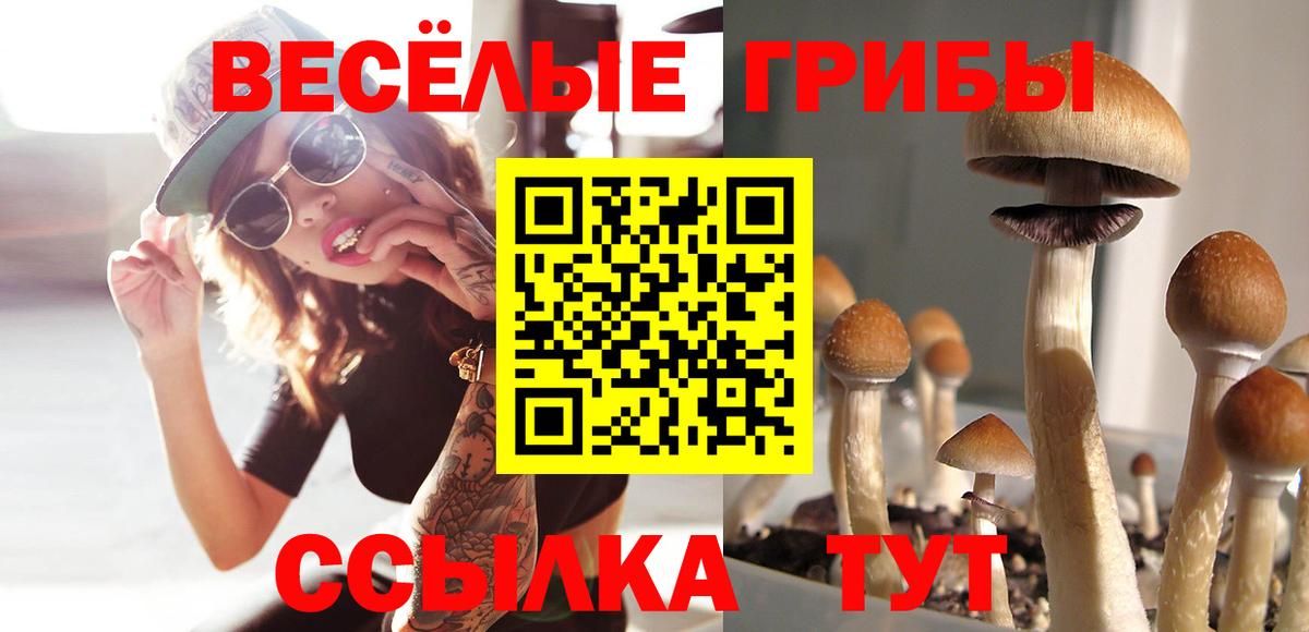 Псилоцибиновые грибы Magic Shrooms  Галлюциногенные грибы GOLDEN TEACHER  Вход с VPN  Крымск 