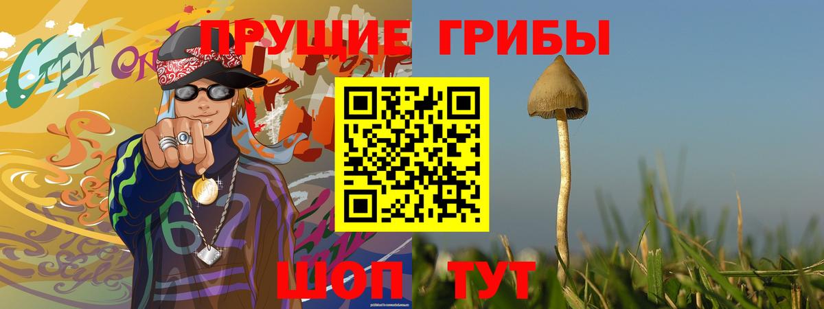 Псилоцибиновые грибы мицелий Крымск